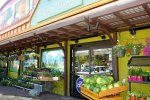 Local Newport Market